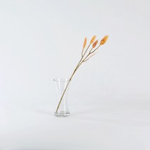 모던하우스 충장 밀 가지 번들 시리즈 53cm 아이보리/핑크