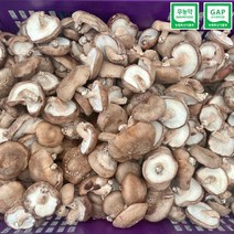 산지직송 표고버섯 / 무농약 GAP 인증 / 실속형 / 대용량, 12kg, 1개