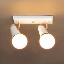 디케이셀 LED 샤샤 2등 직부등 화이트