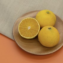 순수농장 제주 황금향 추석 명절 선물세트 2kg 3kg 5kg 가방포장 1박스, 새콤달콤 황금향 2kg
