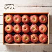[빛과나무]정음 사과선물세트 3호 / 5kg(21-24과), 1개