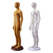침술 경혈 마케팅 한의학 인간 모델 침 교육 교구, 살색 62cm 여성 모델