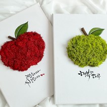 스칸디아모스 이끼 풍수 사과 액자 집들이 축하 핸드메이드 인테리어 그림 선물, 01.스프링그린