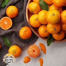 블루제주 서귀포 노지감귤 4.5kg (로얄과/실중량), 단품