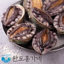[전복의정석 완도홍가네] 가정용 완도전복 13~14미 1kg 아이스박스 산소포장 손질브러쉬&칼증정!!, 완도홍가네전복 13~14미 1kg, 1개