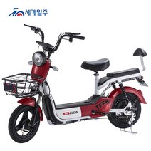 세계일주 성인 전기 자전거 48V 12A 50km 주행가능거리 여성용 전기자전거 CK23(부가세 포함 )(90%조립), C1