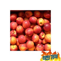 천도 4.5kg내외(과내외), 천도 복숭아 4.5kg내외(40과내외)