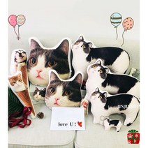반려동물 쿠션제작 맞춤 주문제작 강아지 고양이 3D입체 쿠션, 전신