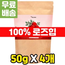 물많이마시는법 가루차 영양물 마시는티 로즈힙 티 차 물대신차 건강한 자연 비타민 이너 뷰티 워터 가루 TEA 추천 C 분말 슈퍼 로얄 베리 먹는법 수분 충전 마시는 타먹는 여름음료