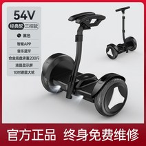 두발 전동휠 대리 운전 10인치 전기 투휠, 블랙 충격 흡수 클래식 휠, 54v