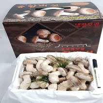 송이송향버섯 송화버섯 송고버섯 착한송이 농가직송 무농약친환경, 1박스, 선물용일품1kg