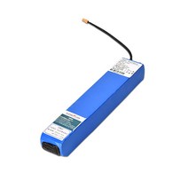 전기 자동차 자전거 스쿠터 리튬 배터리 48V