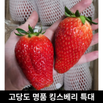 산지직송 국내산 고당도 프리미엄 킹스베리딸기 8과 16과 특대 왕 대왕 딸기 명품 킹스베리 특대과 특 특대 왕특 대왕딸기 왕딸기 생딸기 국산 딸기, 16과(개당 44~55g)