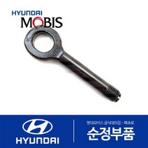 토윙 후크(견인고리) (091470X000) 레이 더뉴 레이 올뉴 i30 더뉴 i30 K3 더뉴 K3 쏘울 캐스퍼 블루온 레이 전기차 EV 아반떼AD 올뉴 모닝 모닝 어반 올뉴 프라이드 더뉴 프라이드 올뉴 K3 K3 21 엑센트 아반떼