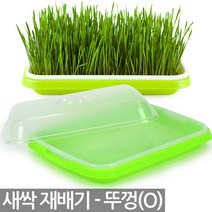 새싹 재배기 세트 - 새싹재배기 새싹씨앗 재배 용기 통 키트 새싹씨앗 보리 브로콜리 케일 청경채 보리씨앗 보리새싹씨앗 새싹보리 보리씨