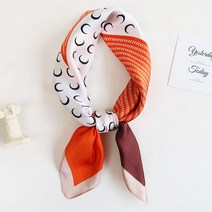 다이뽀 델니아 루이 스카프