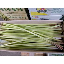 국내산 머위대 1kg, 1개