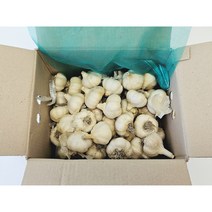 홍산마늘 유황 재배한 밭마늘 화순 마늘 3kg 5kg 코끼리마늘, 3kg / 대, 1개