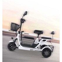 3륜전기자전거 고성능 배달용 화물 전기 3발, 상세 페이지 참고, 듀얼드라이브2인승/10A/수명40km