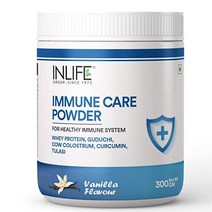 단백질 보충제 INLIFE Immune Care / Booster Protein Powder Whey with Ayurvedic Herbs Turmeric (Curcumin)