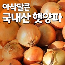 [가락시장새벽직송] 국내산 햇 양파 5kg 15kg, b.특1+등급 15kg