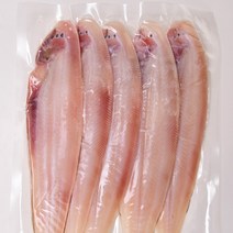 반건조 박대 서대 26-37cm 5-10마리 위생건조 진공포장 박대구이, 대 29~31cm, 10개