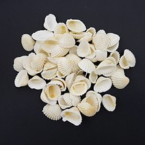 몰드몰 비치 화이트조개 - (약 100g) 젤캔들 첨가물 _ 디퓨저