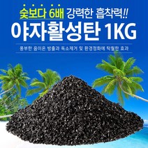 지니컴퍼니 1등급 야자활성탄, 1kg, 1개