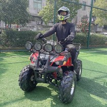 유니 4륜 ATV 비치카 버팔로 오프로드 모터사이클 가솔린 마운틴 필드카, 붉은색