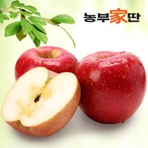 [농부가딴]경북청송 꿀사과 5KG 프리미엄 특상급 사과 선물세트, 1개