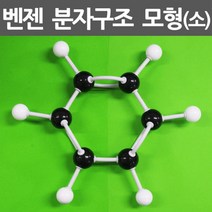 벤젠 분자 구조 모형 (소) 구모양 생물 도구 고등 과학 방과후학습 중등 결정 화학 실험 과학교구