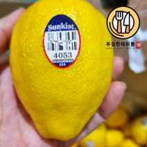 푸짐한테이블 레몬 대과140g내외 115과 1박스, 1개