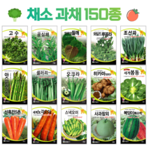 쌈 채소 씨앗 모음 고수 공심채 루꼴라 궁채나물 수박 참외 호박 토마토 상추씨 동남아 종자, 55. 흑외대파 8g