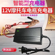 고출력 60 볼트 48V 15A 충전기 무보수 배터리 충전용건전지, 선택하세요