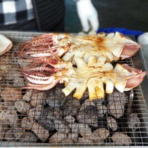포항 구룡포 반건조 오징어 10미, 1.1~1.3kg내외(10미)