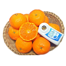 제주 카라향 3kg 5kg 추석 명절 선물세트, 카라향3kg15~17과