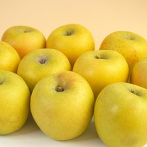 [더조은푸드] 황금사과 시나노골드 가정용 3kg, 시나노골드 가정용 3kg(10과-14과)