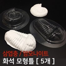 화석 모형틀(삼엽충암모나이트 택1), 삼엽충 100개