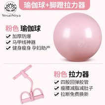 붕어 운동 기구 짐볼 의자 필라테스 보수 운동 기구, 【파우더】요가 볼 텐셔너조합하면 5위안 절약, 75cm신장 165-175cm