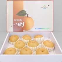 나주배 7.5kg 선물세트 가정용 선물용 햇배, 1박스, 나주배(신고)특품-선물용15kg(16-20과)
