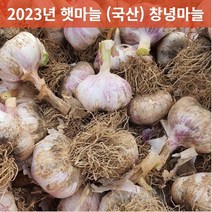 23년 국산 창녕 햇마늘 직접재배 산지직송 통마늘 저장 장아찌 마늘 대크기 3kg 5kg 10kg, 3kg(대), 1개