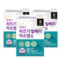 라메디 고농축 차즈기 추출물 빌베리 눈 자소엽 캡슐 영양제, 12주분(3박스)