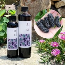 농부프린스 오디청 오디원액 오디즙 오디효소 500ml _ 122299EA, 1, 본상품선택