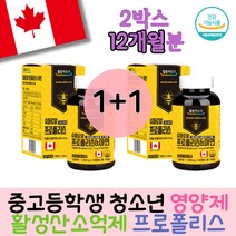 키즈 어린이 학생 청소년 환절기 프로폴리스 영양제 활성 산소 억제 건강증진 온가족 성장기 아연함유 플라보노이드 슈퍼로얄 캐나다 생산 직수입 건강기능식품 항산화 도움