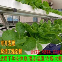 가정용스마트팜 수경재배기 야채키우기 유리온실 NFT 무토양 재배 장비 홈 발코니 파이프라인 딸기 심기 A-프레임 과일 및 야채 다층 기계, [02] A라인 식목 프레임, [01] 중간