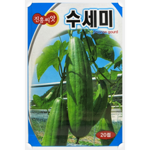 AR 수세미 소포장 Songe gourd 씨앗 20립