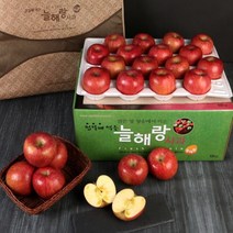 사과 청송사과 껍질째먹는 꿀 부사 선물용 못난이 얼음골 유명한곳, 부사 ( 정품 ), 9kg(26-28과)중대과