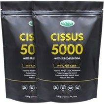 [미국빠른직구] 신제품 마이라이프 시서스 5000 가루 250g 2팩