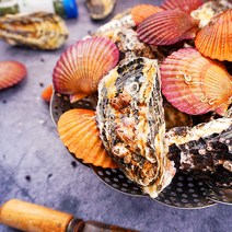 싱싱한 통영멍게 가리비 바다장어, 1box, 홍가리비1kg+석화2kg