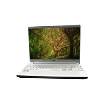 삼성 LG 레노버 가성비 좋은 중고노트북, [F] LG-xnoteR510/E500
